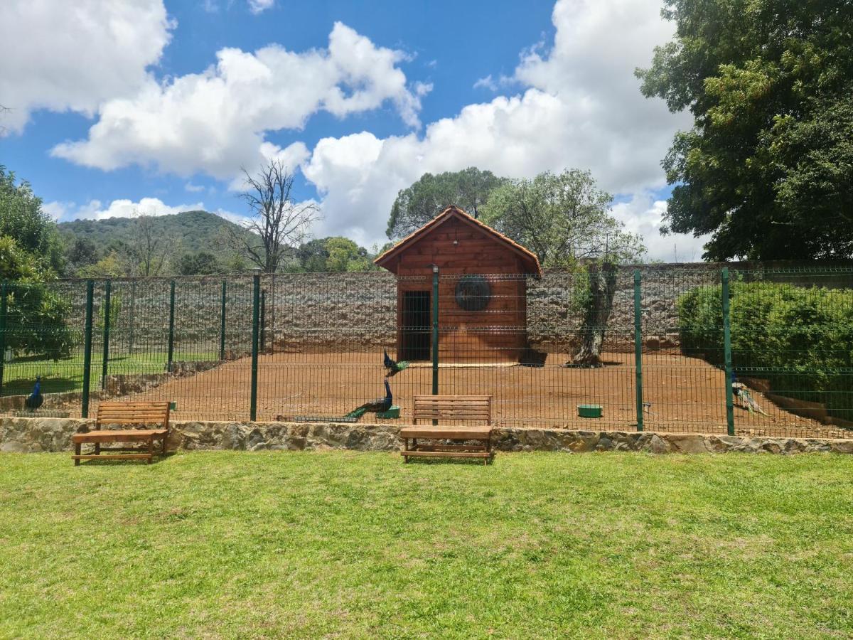 Finca Los Angeles Hospederia & Sociales Huasca de Ocampo Esterno foto